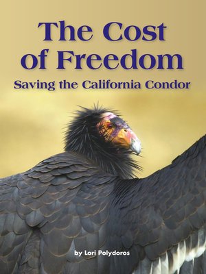 cover image of The Cost of Freedom